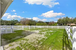 12305 Twin Branch Acres Rd, Tampa, FL 33626 - Photo 44
