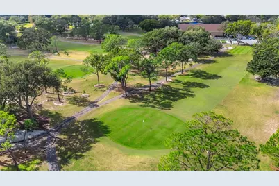 1601 W Dorchester Drive, Palm Harbor, FL 34684 - Photo 68