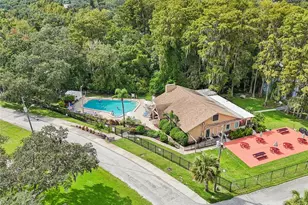 1601 W Dorchester Dr, Palm Harbor, FL 34684 - Photo 72