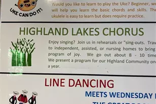 2740 Highlands Blvd, Palm Harbor, FL 34684 - Photo 88