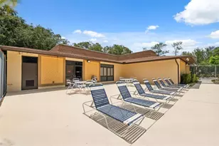 11809 Raintree Lake Ln, Tampa, FL 33617 - Photo 38