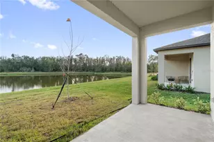 18170 Pleasantview Blvd, Land O Lakes, FL 34638 - Photo 30