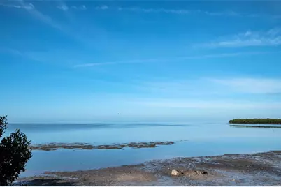 203 Tarpon Point #203, Tarpon Springs, FL 34689 - Photo 38