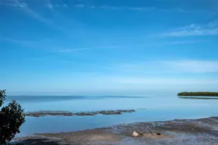 203 Tarpon Point, Tarpon Springs, FL 34689 - Photo 38