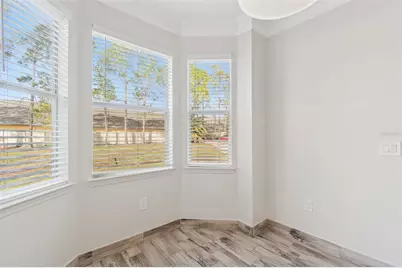 17932 Villa Creek Drive, Tampa, FL 33647 - Photo 12