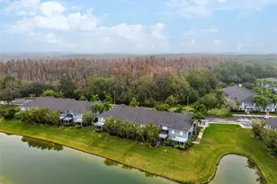 18214 Paradise Point Dr, Tampa, FL 33647 - Photo 34