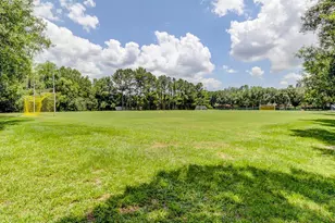 3773 Pendlebury Dr, Palm Harbor, FL 34685 - Photo 70