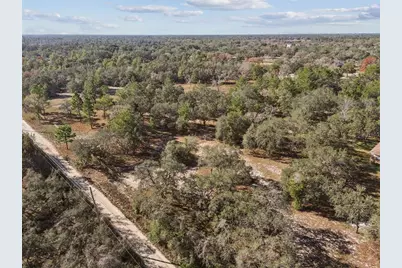 14459 Coyote Road, Hudson, FL 34669 - Photo 10