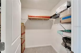 5466 Logan Cave Ave, Wimauma, FL 33598 - Photo 20