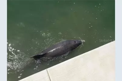 5200 Brittany Dr. S #1510, Saint Petersburg, FL 33715 - Photo 44