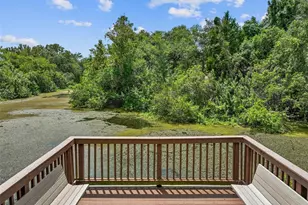 4347 Deermont Cir, Tampa, FL 33624 - Photo 84
