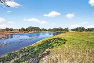 6750 Sutton Oaks Ln, Zephyrhills, FL 33541 - Photo 72