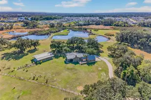 6750 Sutton Oaks Ln, Zephyrhills, FL 33541 - Photo 76