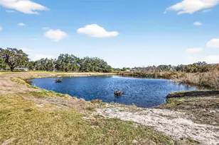 6750 Sutton Oaks Ln, Zephyrhills, FL 33541 - Photo 68