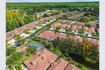 3892 Timber Ridge Court, Palm Harbor, FL 34685 - Photo 50