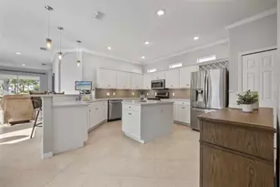 20907 Tangor Rd, Land O Lakes, FL 34637 - Photo 8