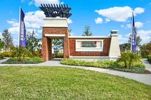33018 Frosted Clover Wy, Wesley Chapel, FL 33545 - Photo 42