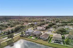 9230 Zincoe Ln, Land O Lakes, FL 34638 - Photo 58