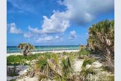 2028 Douglas Avenue, Dunedin, FL 34698 - Photo 24