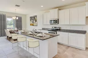 10672 Gentle Rain Dr, Land O Lakes, FL 34638 - Photo 4