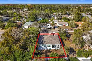 1306 E Lemon St, Tarpon Springs, FL 34689 - Photo 38