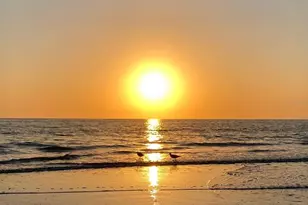 15462 Gulf Blvd, Madeira Beach, FL 33708 - Photo 52