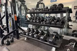 13832 Orange Sunset Dr, Tampa, FL 33618 - Photo 60