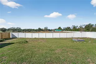 1009 Lenna Ave, Seffner, FL 33584 - Photo 52