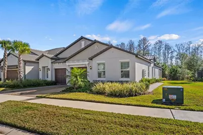 16890 Forge Surf Street, Land O Lakes, FL 34638 - Photo 32