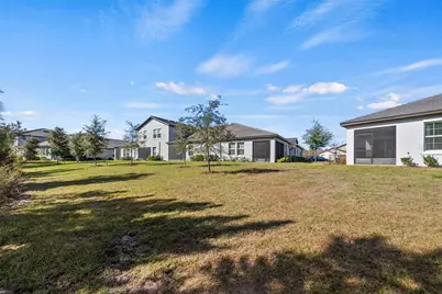 16890 Forge Surf Street, Land O Lakes, FL 34638 - Photo 38