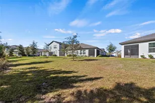 16890 Forge Surf St, Land O Lakes, FL 34638 - Photo 38
