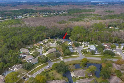 5650 Bridgeton Court, Palm Harbor, FL 34685 - Photo 44