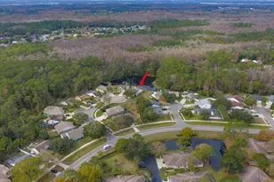 5650 Bridgeton Ct, Palm Harbor, FL 34685 - Photo 44