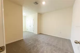 33027 Tulip Petal Ln, Wesley Chapel, FL 33545 - Photo 26