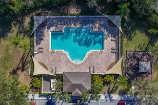 220 Bay Arbor Blvd, Oldsmar, FL 34677 - Photo 60