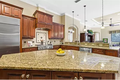 8453 Dunham Station Drive, Tampa, FL 33647 - Photo 4