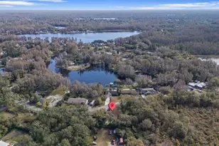 2802 Wilson Cir, Lutz, FL 33548 - Photo 40