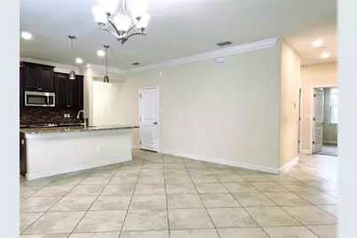 11822 Frost Aster Drive, Riverview, FL 33579 - Photo 8