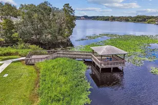 4133 Dolphin Dr, Tampa, FL 33617 - Photo 22