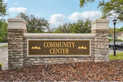 25954 Risen Star Drive, Wesley Chapel, FL 33544 - Photo 54