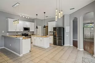 25954 Risen Star Dr, Wesley Chapel, FL 33544 - Photo 6