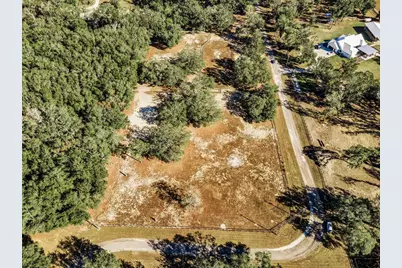 Xxx Trilby Trails Trail, Dade City, FL 33523 - Photo 10