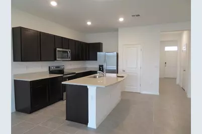 17212 Bigleaf Mahogany Lane, Land O Lakes, FL 34638 - Photo 8