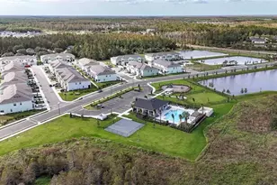 17212 Bigleaf Mahogany Ln, Land O Lakes, FL 34638 - Photo 24