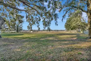 4111 E Knights Griffin Rd, Plant City, FL 33565 - Photo 60