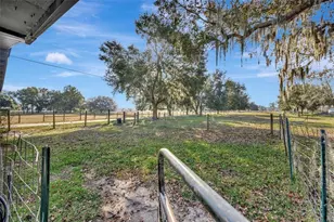 4111 E Knights Griffin Rd, Plant City, FL 33565 - Photo 36