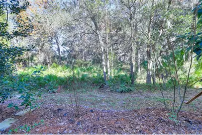 20119 Weeping Laurel Place, Tampa, FL 33647 - Photo 46