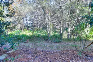 20119 Weeping Laurel Pl, Tampa, FL 33647 - Photo 46