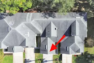 20119 Weeping Laurel Pl, Tampa, FL 33647 - Photo 38