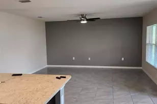 16778 Carlton Pond St, Wimauma, FL 33598 - Photo 14